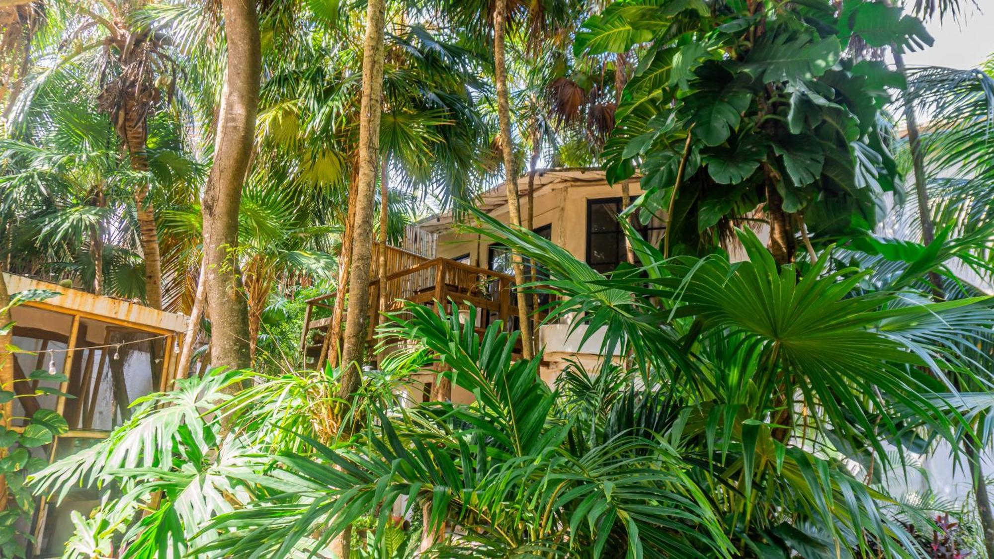 Casa Ambar Hotel & Boutique Tulum (Adults Only) Zewnętrze zdjęcie